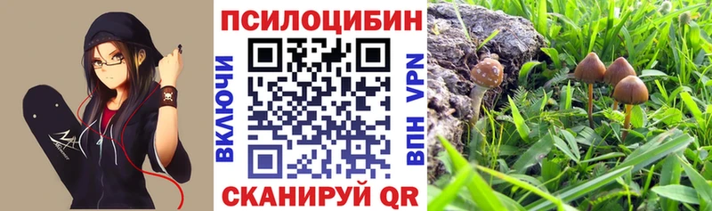 Псилоцибиновые грибы ЛСД купить Усмань